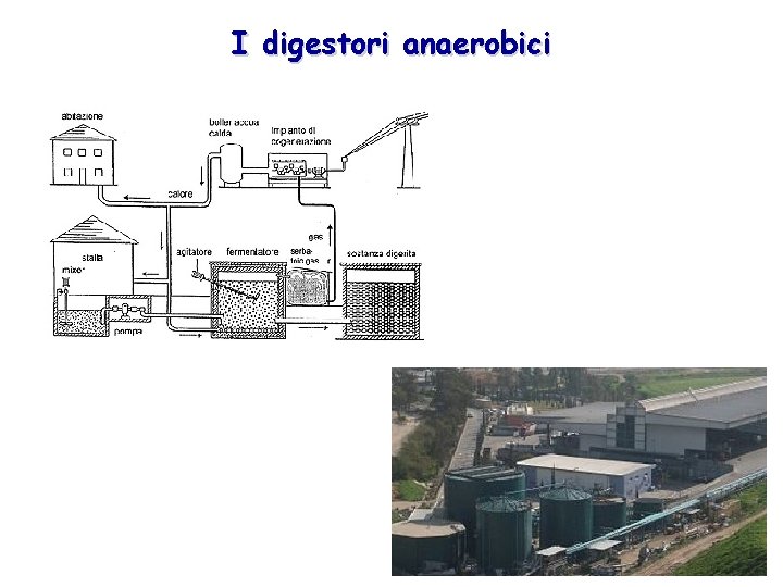 I digestori anaerobici 