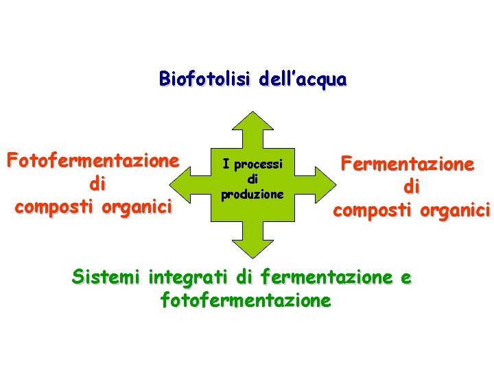 Biofotolisi dell’acqua Fotofermentazione di composti organici I processi di produzione Fermentazione di composti organici