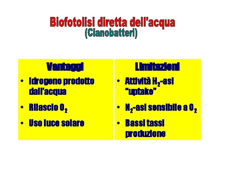 Vantaggi Limitazioni • Idrogeno prodotto dall’acqua • Attività H 2 -asi “uptake” • Rilascio