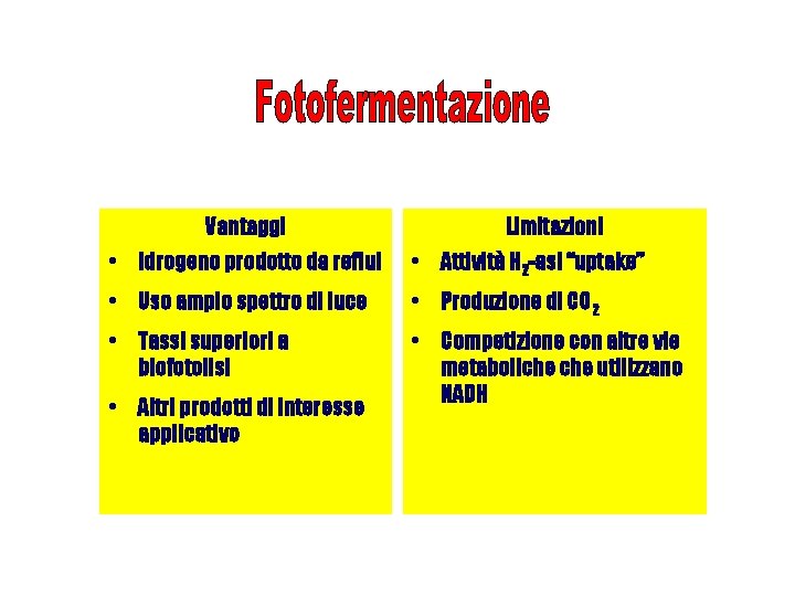 Vantaggi Limitazioni • Idrogeno prodotto da reflui • Attività H 2 -asi “uptake” •