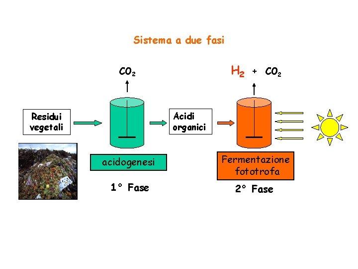 Sistema a due fasi H 2 CO 2 + CO 2 Acidi organici Residui