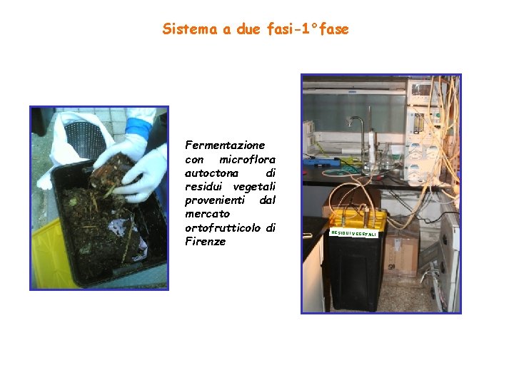 Sistema a due fasi-1°fase Fermentazione con microflora autoctona di residui vegetali provenienti dal mercato