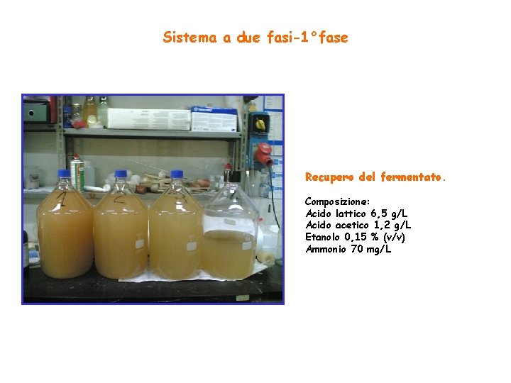 Sistema a due fasi-1°fase Recupero del fermentato. Composizione: Acido lattico 6, 5 g/L Acido