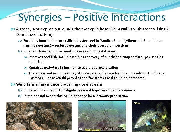 Synergies – Positive Interactions A stone, scour apron surrounds the monopile base (12 -m