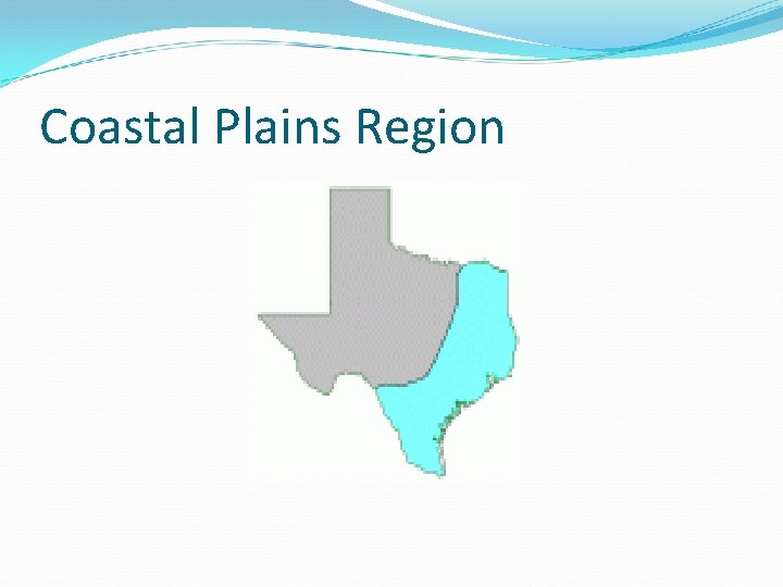 Coastal Plains Region 