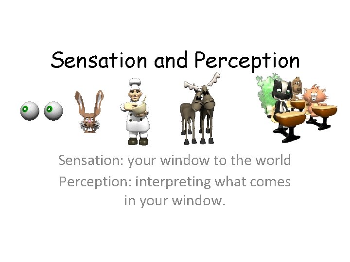 Sensation and Perception Sensation: your window to the world Perception: interpreting what comes in