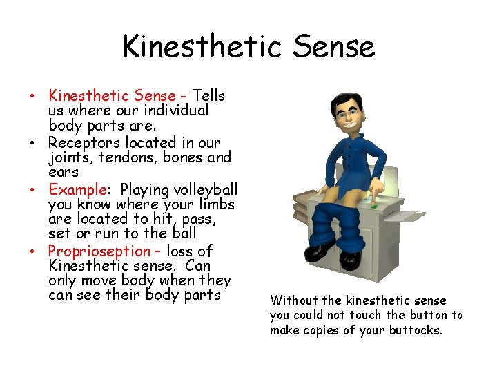 Kinesthetic Sense • Kinesthetic Sense - Tells us where our individual body parts are.