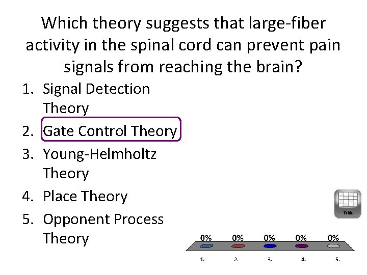 Which theory suggests that large-fiber activity in the spinal cord can prevent pain signals