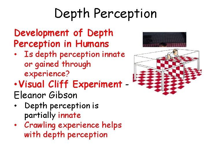 Depth Perception Development of Depth Perception in Humans • Is depth perception innate or