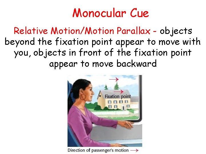 Monocular Cue Relative Motion/Motion Parallax - objects beyond the fixation point appear to move