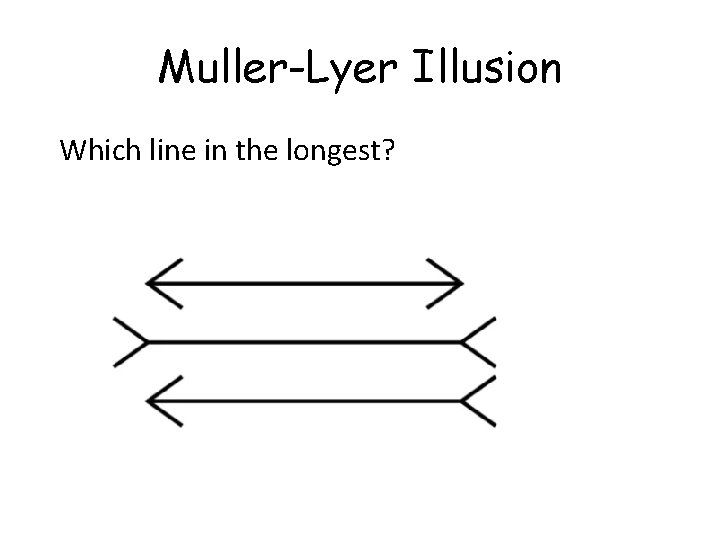 Muller-Lyer Illusion Which line in the longest? 