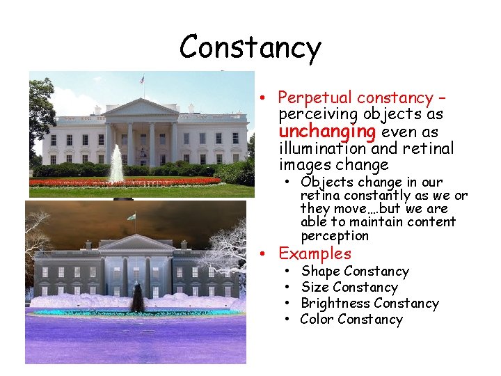 Constancy • Perpetual constancy – perceiving objects as unchanging even as illumination and retinal