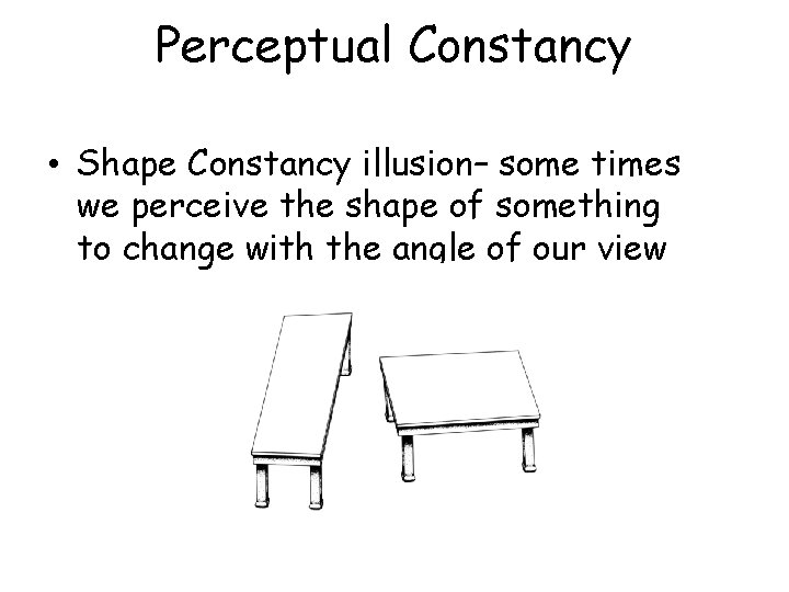 Perceptual Constancy • Shape Constancy illusion– some times we perceive the shape of something