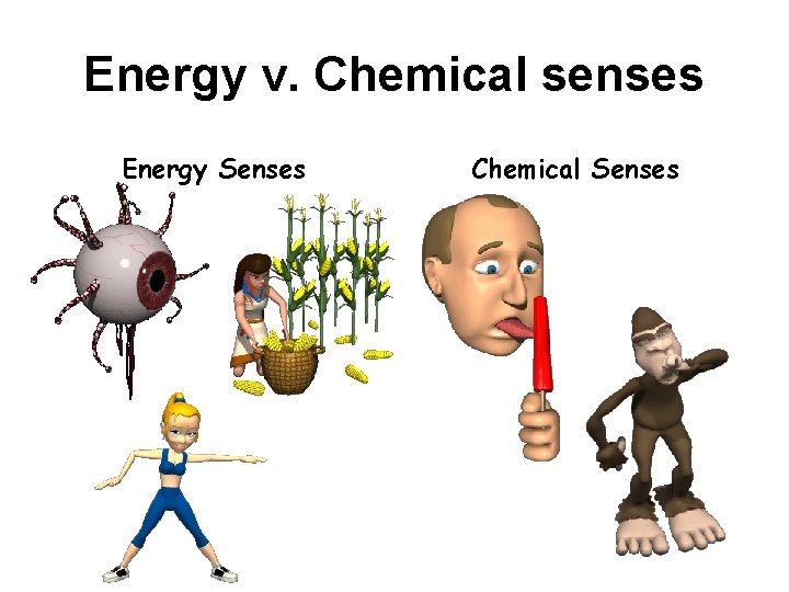 Energy v. Chemical senses Energy Senses Chemical Senses 