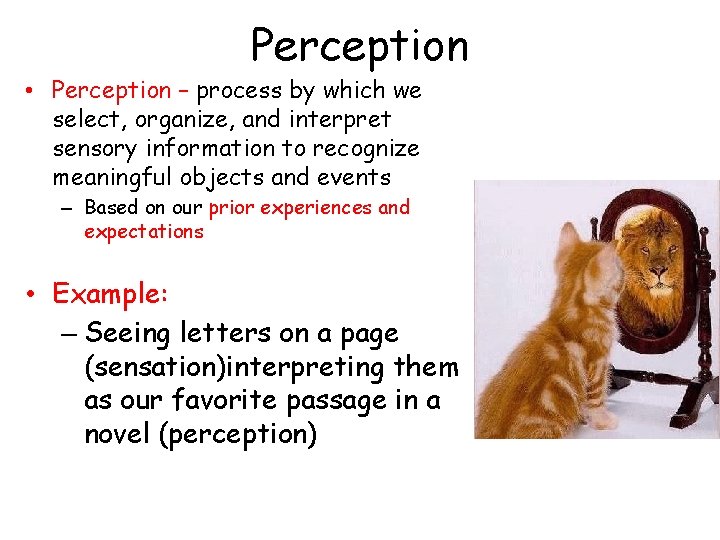 Perception • Perception – process by which we select, organize, and interpret sensory information