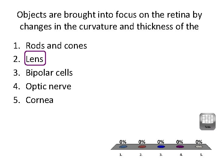 Objects are brought into focus on the retina by changes in the curvature and