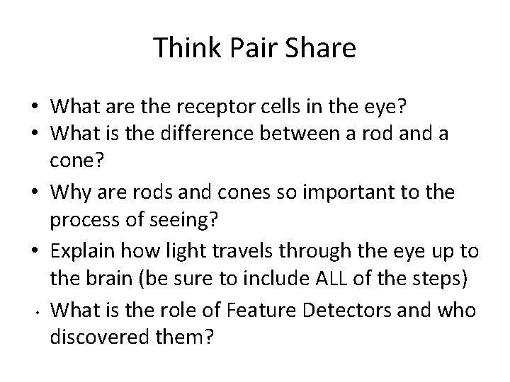 Think Pair Share • What are the receptor cells in the eye? • What