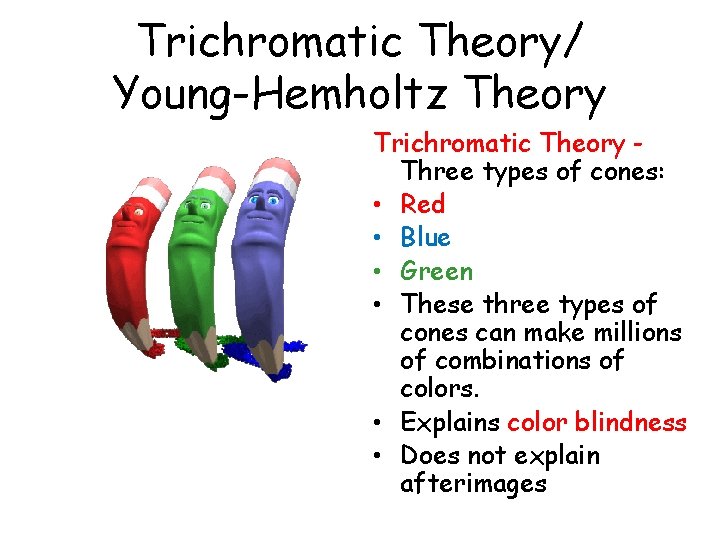 Trichromatic Theory/ Young-Hemholtz Theory Trichromatic Theory Three types of cones: • Red • Blue