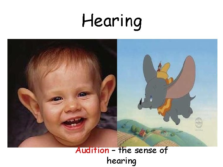 Hearing Audition – the sense of hearing 