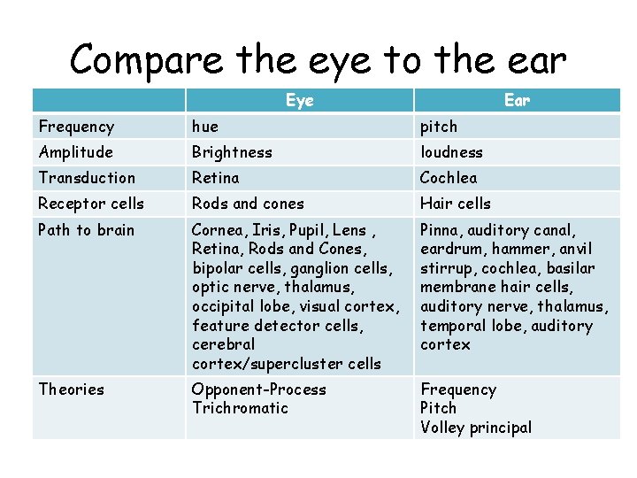 Compare the eye to the ear Eye Ear Frequency hue pitch Amplitude Brightness loudness