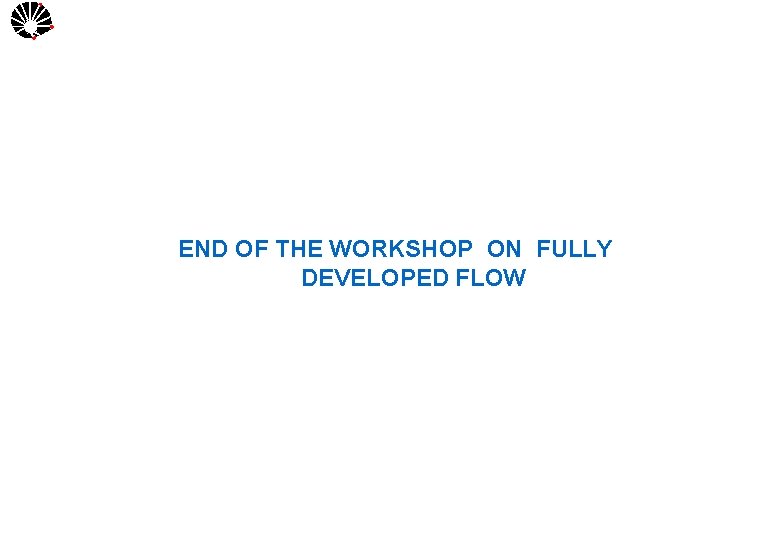 UNICAMP END OF THE WORKSHOP ON FULLY DEVELOPED FLOW 