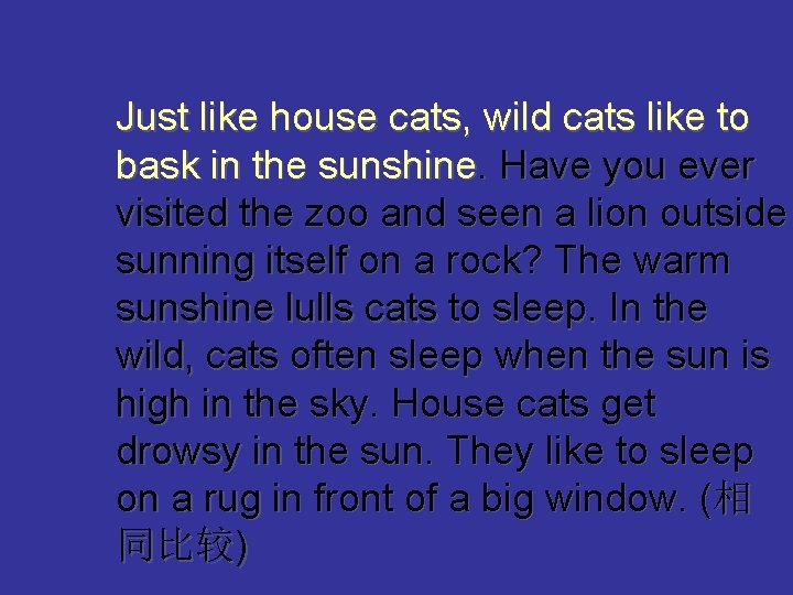 Just like house cats, wild cats like to bask in the sunshine. Have you