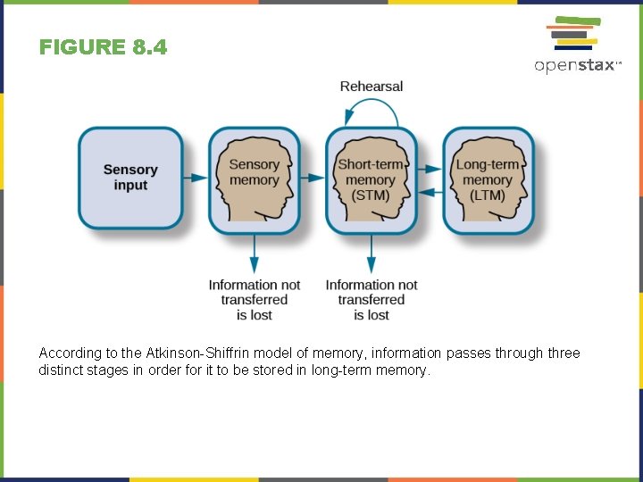 FIGURE 8. 4 According to the Atkinson-Shiffrin model of memory, information passes through three