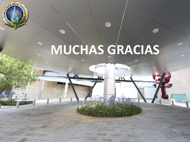 MUCHAS GRACIAS 41 