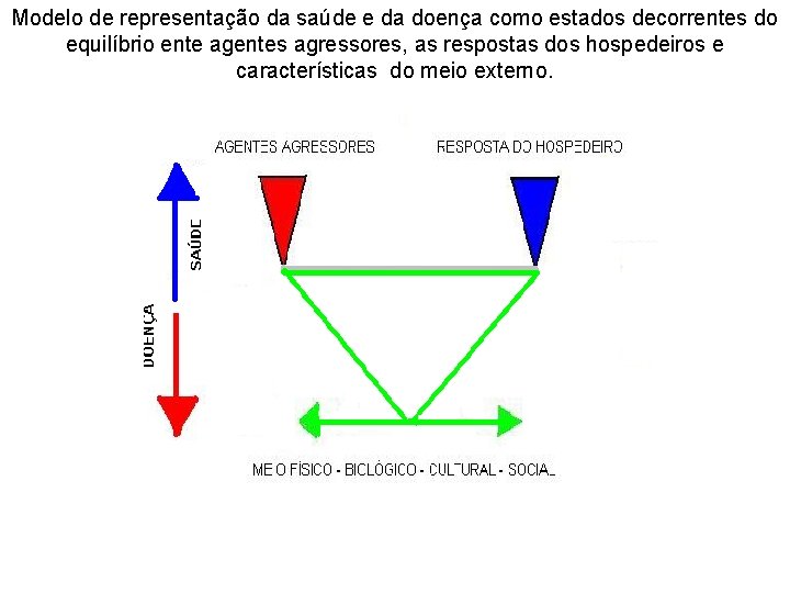 Modelo de representação da saúde e da doença como estados decorrentes do equilíbrio ente