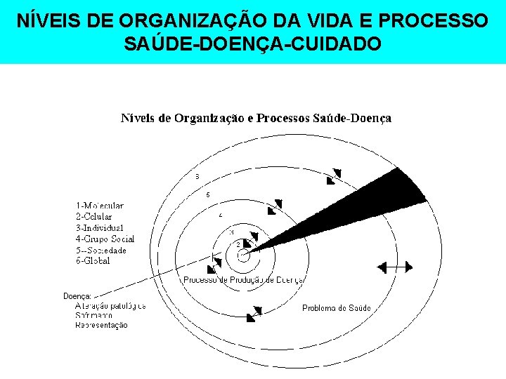 NÍVEIS DE ORGANIZAÇÃO DA VIDA E PROCESSO SAÚDE-DOENÇA-CUIDADO 