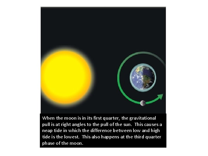 When the moon is in its first quarter, the gravitational pull is at right