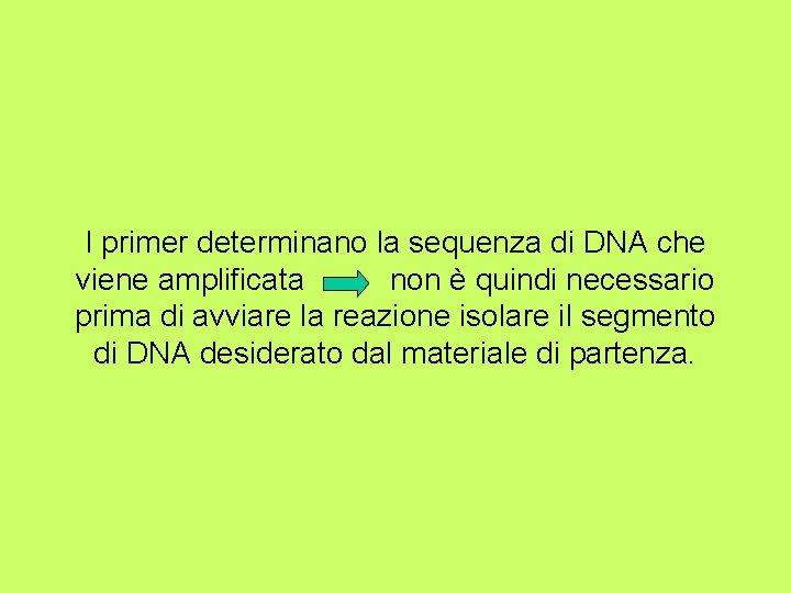 I primer determinano la sequenza di DNA che viene amplificata non è quindi necessario