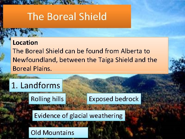 The Boreal Shield Location The Boreal Shield can be found from Alberta to Newfoundland,