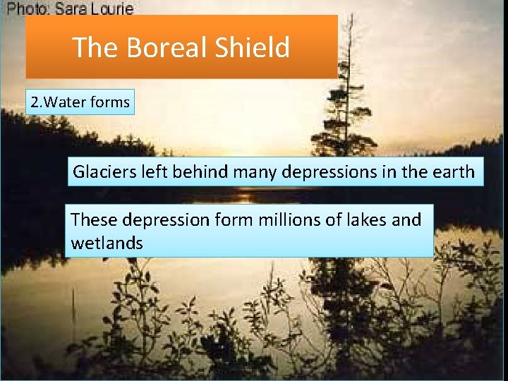 The Boreal Shield 2. Water forms Glaciers left behind many depressions in the earth