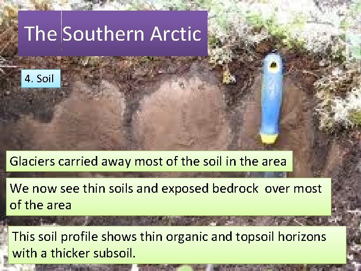 The Southern Arctic 4. Soil Glaciers carried away most of the soil in the