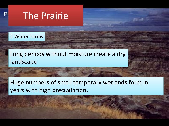 The Prairie 2. Water forms Long periods without moisture create a dry landscape Huge