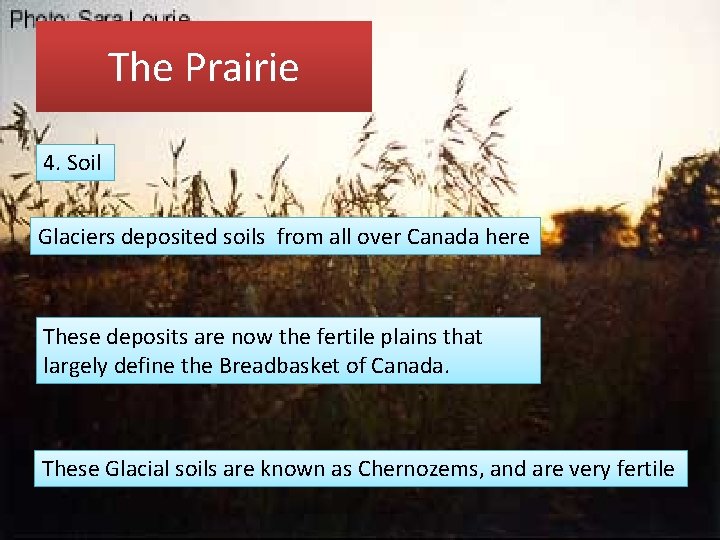 The Prairie 4. Soil Glaciers deposited soils from all over Canada here These deposits