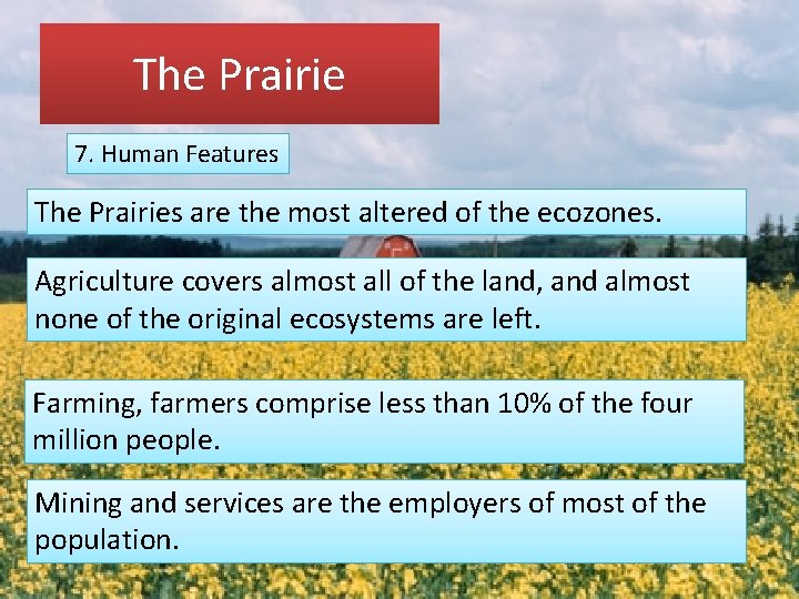 The Prairie 7. Human Features The Prairies are the most altered of the ecozones.