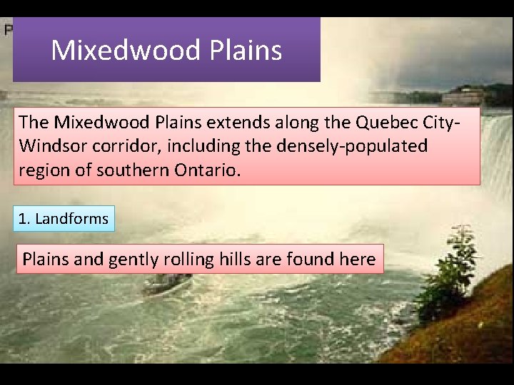 Mixedwood Plains The Mixedwood Plains extends along the Quebec City. Windsor corridor, including the