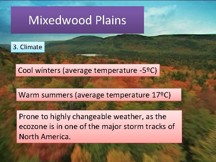 Mixedwood Plains 3. Climate Cool winters (average temperature -5ºC) Warm summers (average temperature 17ºC)