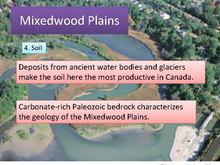 Mixedwood Plains 4. Soil Deposits from ancient water bodies and glaciers make the soil