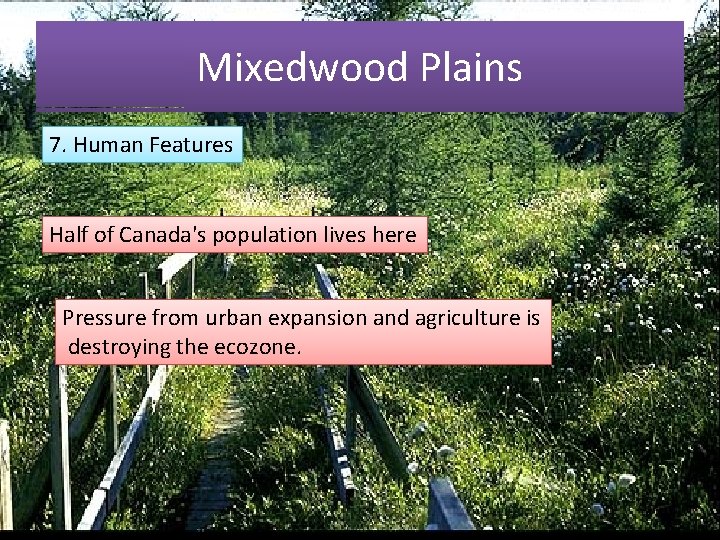 Mixedwood Plains 7. Human Features Half of Canada's population lives here Pressure from urban