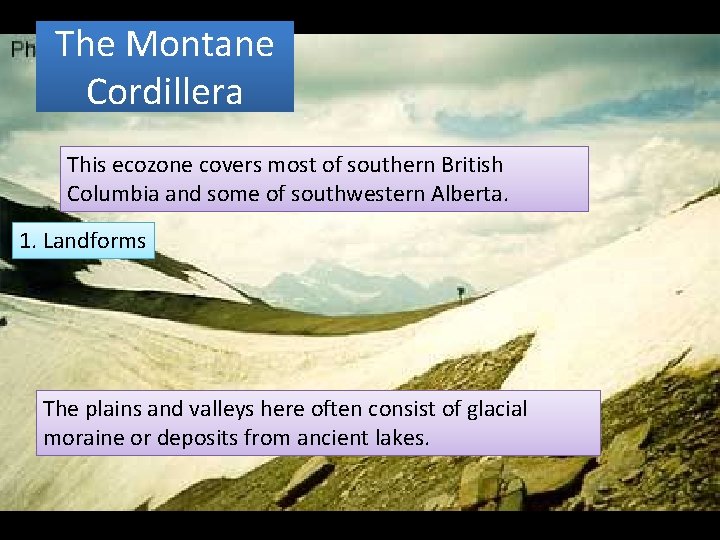 The Montane Cordillera This ecozone covers most of southern British Columbia and some of