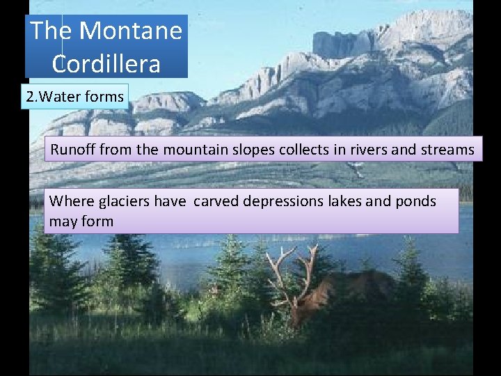 The Montane Cordillera 2. Water forms Runoff from the mountain slopes collects in rivers