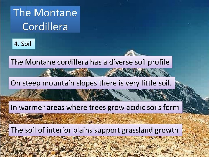 The Montane Cordillera 4. Soil The Montane cordillera has a diverse soil profile On