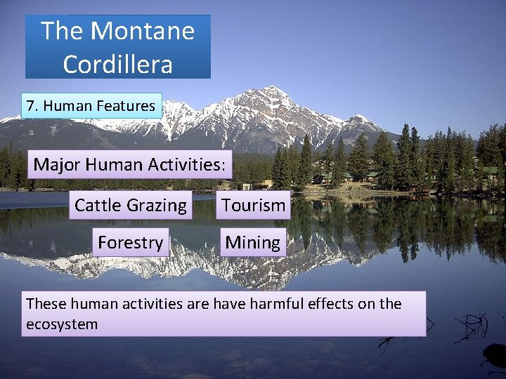 The Montane Cordillera 7. Human Features Major Human Activities: Cattle Grazing Tourism Forestry Mining