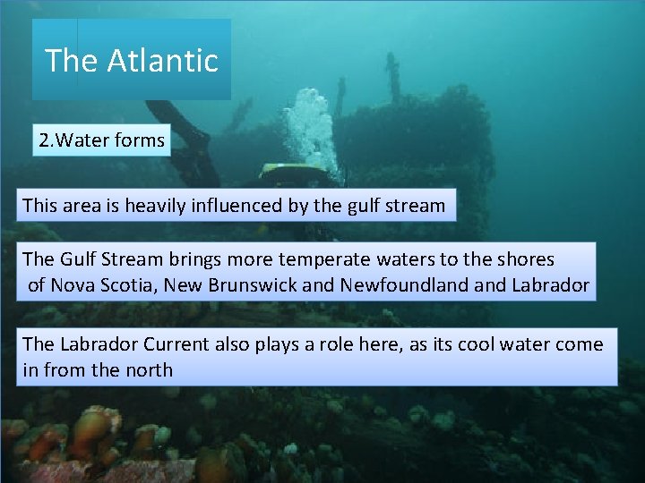 The Atlantic 2. Water forms This area is heavily influenced by the gulf stream