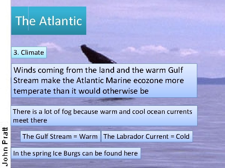 The Atlantic 3. Climate Winds coming from the land the warm Gulf Stream make