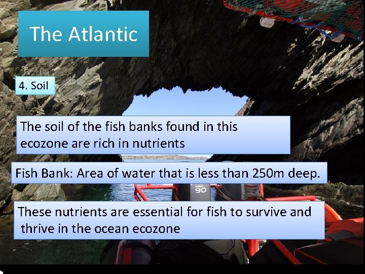 The Atlantic 4. Soil The soil of the fish banks found in this ecozone