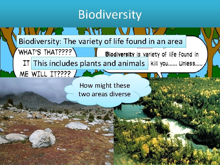 Biodiversity: The variety of life found in an area This includes plants and animals